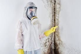 Professional Mold Remediation in White Horse, NJ